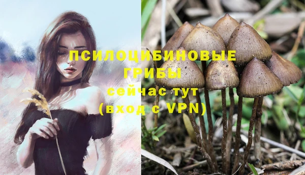 дмт Горняк