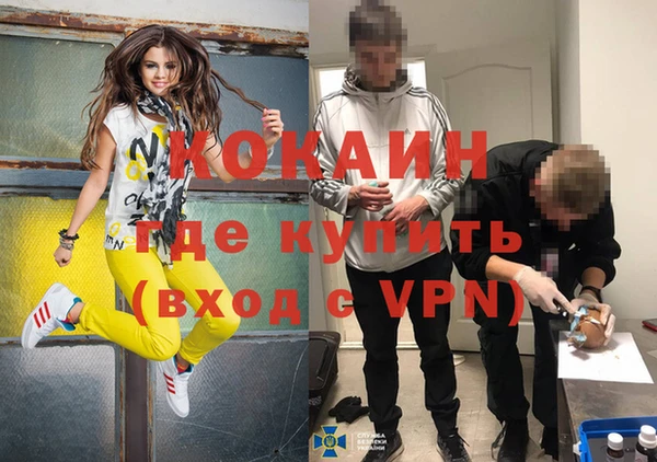 дмт Горняк
