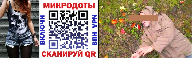Псилоцибиновые грибы Psilocybine cubensis  Купить  Одинцово 